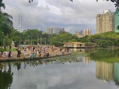 -荔枝公园(福田区)