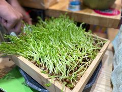 -椰夫人·养生椰子鸡(金沙洲永旺店)