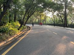 -南国桃园旅游度假区