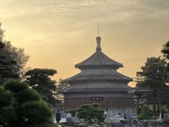 -中国唐苑