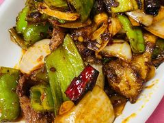 麻花回锅肉-乐乐餐厅(湘子庙街店)