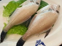 -龙森园火锅(琴台路店)