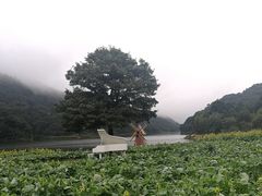 -广州市石门国家森林公园