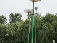 景点-莲花池公园