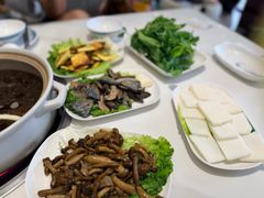 -爱膳菌锅锅(阳南店)