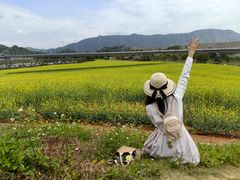 -光明小镇欢乐田园