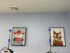 -纳吉亚猫专科动物诊疗中心(蒋宅口分院)