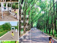-同里国家湿地公园