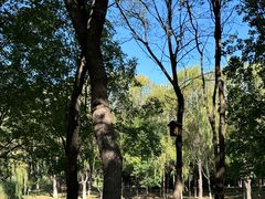 -大兴滨河森林公园