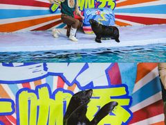 -南昌海洋公园
