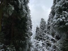 -太阳湾风景区
