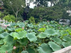 -龚家花园农家乐休闲别墅