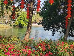 -西关竹园(荔枝湾店)