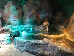 -酷嗒动物文化乐园(cutezoo西溪乐天城店)