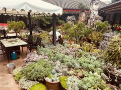 -山菌美食苑(振兴路店)