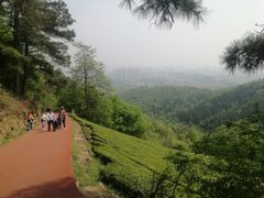 -敬亭山风景名胜区