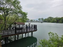 -芳草地度假酒店·野炉中餐厅