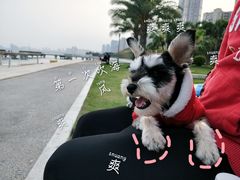 -海沧湾公园