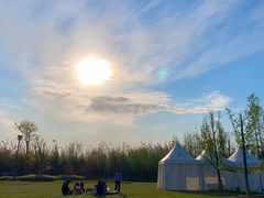 -上海长兴岛郊野公园