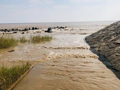 -南汇嘴观海公园