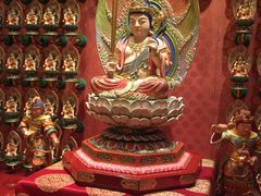 -新加坡佛牙寺龙华院