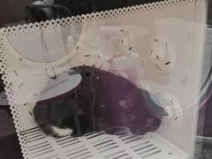 -FAELING PETS美天灵宠物(富力广场店)