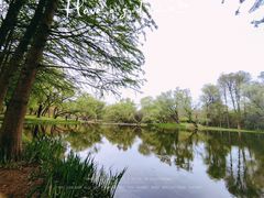 -上海共青森林公园