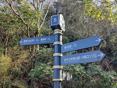 -福道