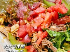 -油梨树AVOCADO TREE(顺义新国展店)