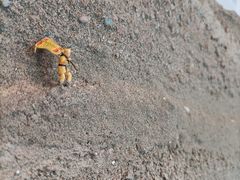 -杭州西湖博物馆总馆