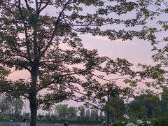 -普陀山慧济禅寺