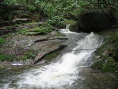 -内乡宝天曼生态旅游区