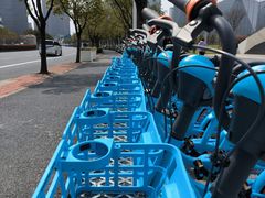 -东方体育中心(地铁站)