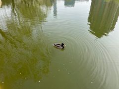 -团结湖公园