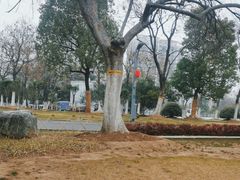 -合肥生态公园