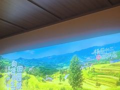 -杨厨的田园饭店(长城路店)