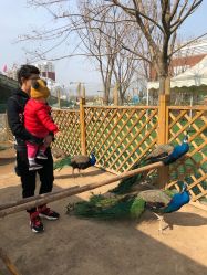 -萌宠亲子动物乐园(槐房万达店)