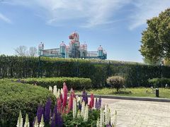 -季高兔窝窝亲子园(上海薰衣草公园店)
