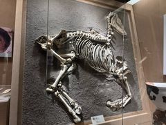 -烟台市博物馆