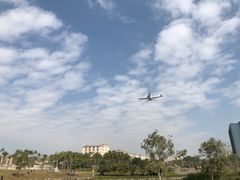 -宝安西湾红树林湿地公园