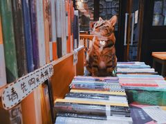 -猫的天空之城概念书店(杭州南宋御街店)