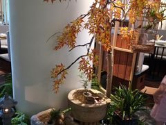 -梅间堂茶馆(绿地缤纷城店)
