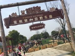 -田园东方蜜桃村的田野营地