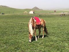 -塞罕坝国家级自然保护区