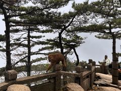 -黄山风景区