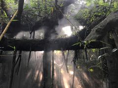 -青青世界