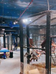 -酷嗒动物文化乐园(cutezoo西溪乐天城店)