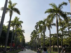 -厦门大学(思明校区)
