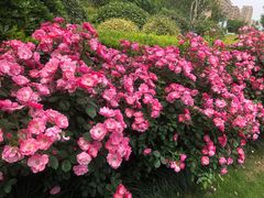 -杭州城北体育公园