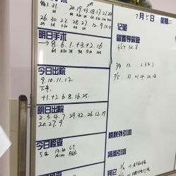 -上海交通大学医学院附属上海儿童医学中心(陆家嘴总院区)